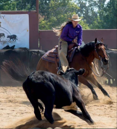 Extreme Sounding Board - Cutting Horse