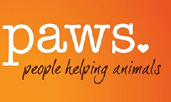 Paws (Progressive Animal Welfare Society).jpg