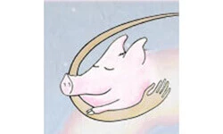 Pigs Peace Sanctuary (small).jpg