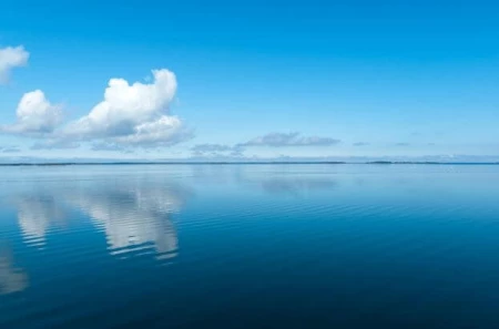 Calming the Fear After Market Loss