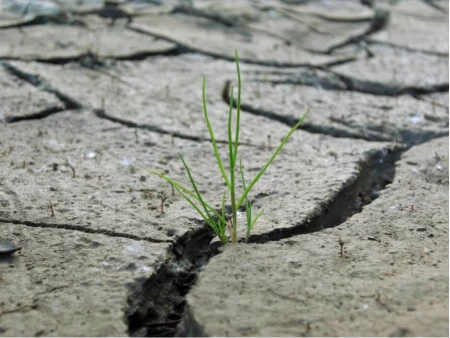 The VIX: A Hopeful Sign for a Less Fearful Future