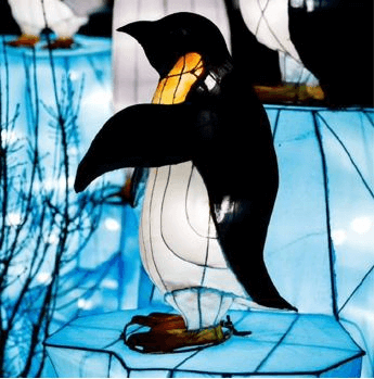 Penguin-Lantern_2