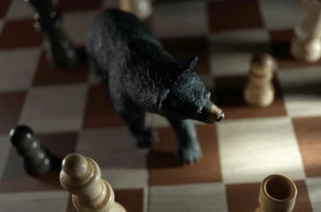 Discipline Amidst Uncertainty