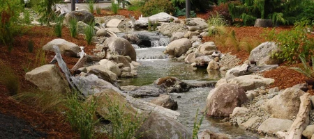I Know a Pro: Jacob Tate, Owner of Dreamscapes Landscape and Design