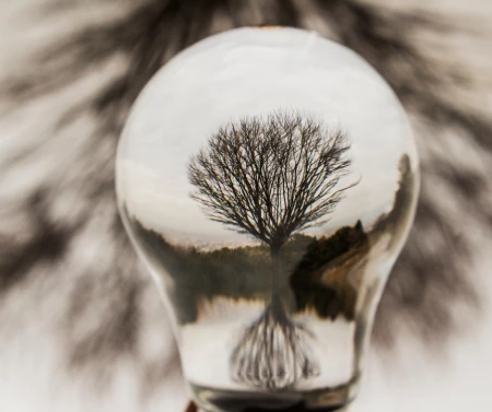 Perspectives on the Market