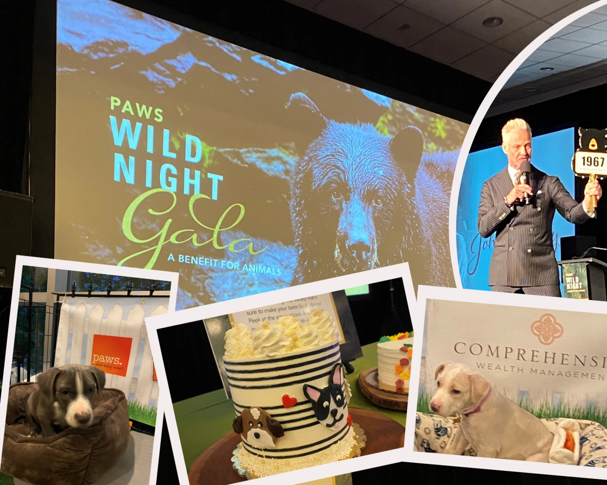 PAWS Wild Night Gala Collage