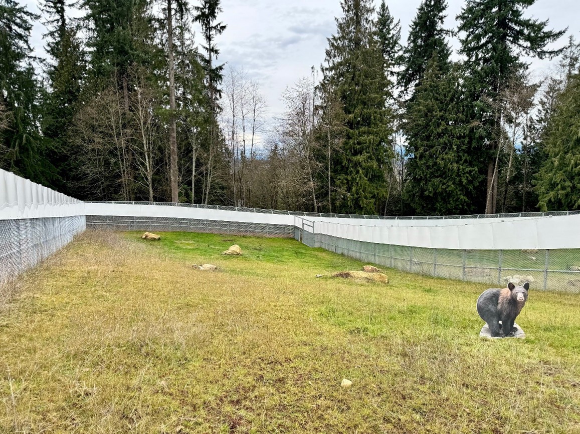 The outdoor portion of the large carnivore habitat offers a secure space for enrichment and play