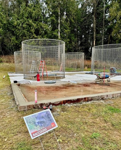 The raccoon recovery habitat is made up of silos - seen here partially constructed - and a thick concrete base and dedicated drainage, following best practices for cleaning.