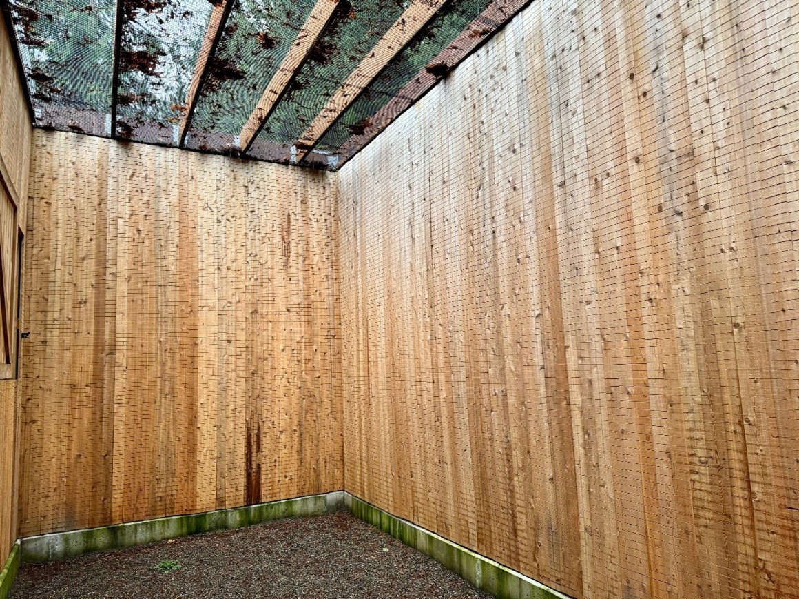 The woodpecker room in the Corvid-Pigeon-Songbird recovery habitat.