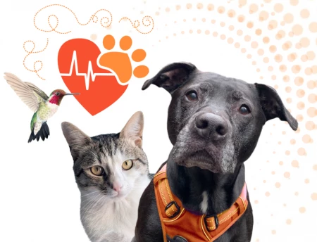 Celebrating PAWSwalk 2024