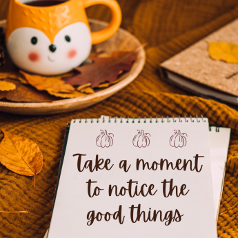 Gratitude - Take time to notice the good things
